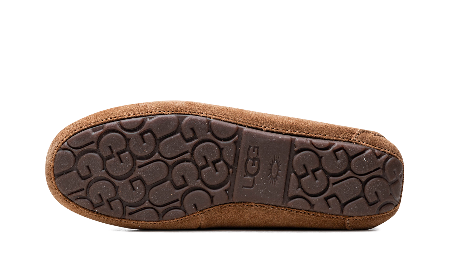 DAKOTA WMNS "Brown" 1107949 CHE